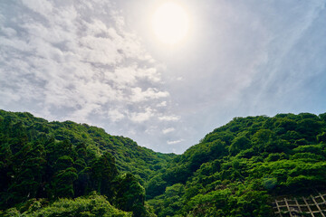 山