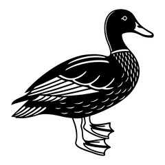 Realistic Duck Flying Vector Illustration