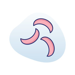 Fototapeta premium Caraway Vector icon