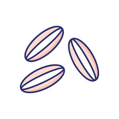 Cumin  Vector icon