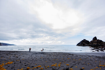 Two people with dogs stroll along a black sand beach framed by volcanic rock and a moody sky, blending nature, leisure and emotional connection.