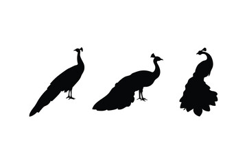 Majestic Peacock Silhouette Vector Set Collection for Elegant Bird and Wildlife Design Projects on White Background
