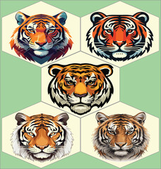 colored tiger head vector set