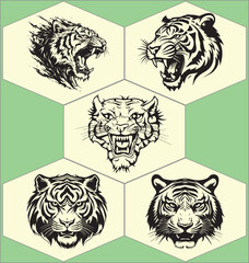 aggressive tiger head vector