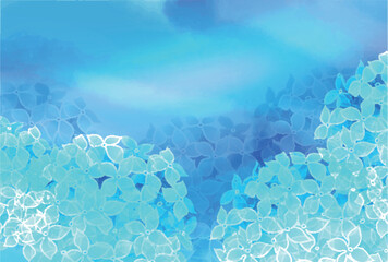 アジサイ　梅雨　花　背景	