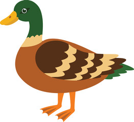 cute hand drawn illustration