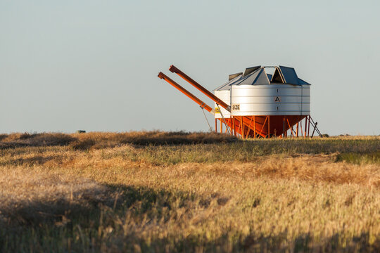 Two metal field bins sitting next to one another in a farmers paddock