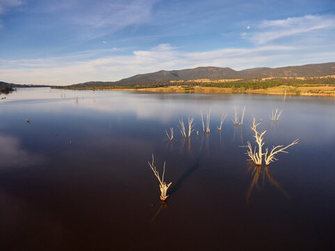 Still water with distant tree lined bank of Lake Nillahcootie