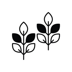 Eucalyptus Vector icon