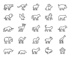 Line art depictions of 24 unique animals displayed in a structured grid format