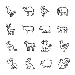 Set of line drawing icons of animals in four rows and four columns