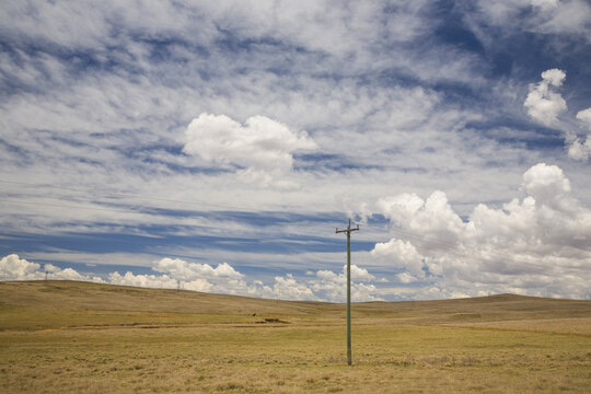 Landscape with low voltage electricity poles in open grassy paddocks with sky and cloud pattern