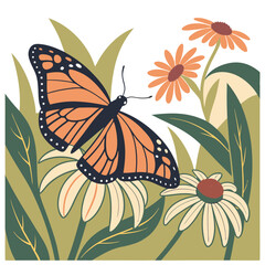 A Journey Through the Enchanting World of Butterflies