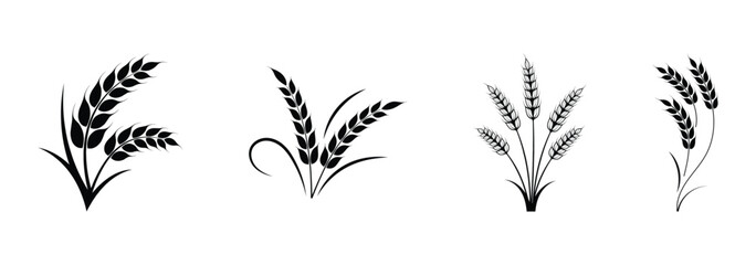 Wheat icon set. Collection of black wheat ear silhouettes, ideal for agriculture logos, organic product labels, and rural themed designs. Vector illustration. EPS 10