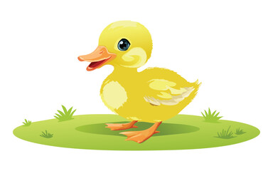 Yellow Duckling Looking Right