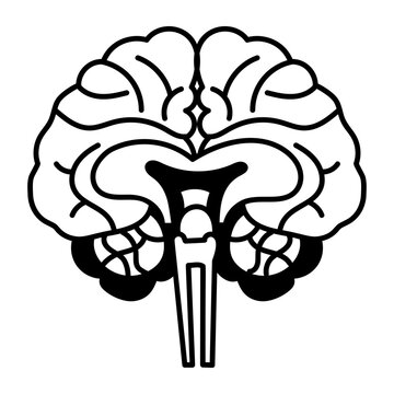 A sketchy style icon of hypothalamus
