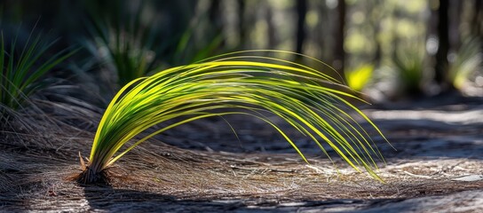 Sunlit, slender grass blades arc gracefully over forest floor; vibrant yellow-green hues contrast with dark earth