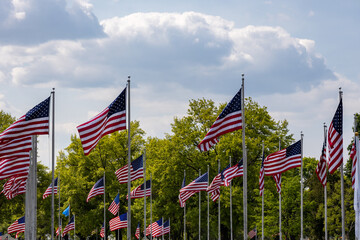 Low angle view of a large group of American flags on poles, blowing in the breeze on a sunny day