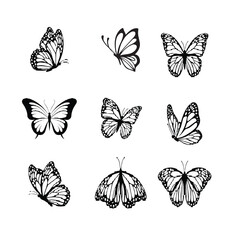 butterfly vector image  4