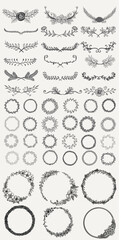 Hand drawn floral wreaths and dividers set