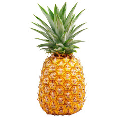 Fresh pineapple on a pristine Transparent background showcasing its vibrant color and unique texture, pineappleisolated on PNG background