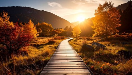 Panoramic autumn landscape with wooden path at sunset