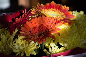 Colorful gerbera flower bouquet with red, orange and yellow