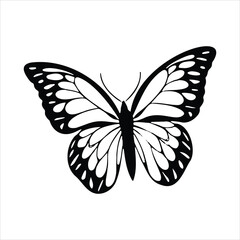 Black and white butterfly vector illustration flying with detailed wings and antenna