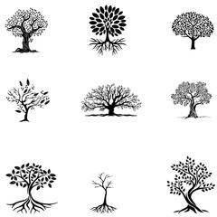 Plants vector-1