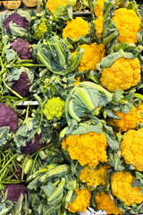 Fresh purple, yellow, and green cauliflower heads displayed at a local market. Colorful and healthy vegetables neatly arranged for sale. Organic produce.