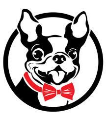 english bulldog puppy