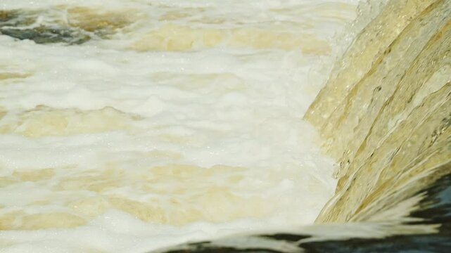 Springtime vimba jumps through frothy waterfall currents in slow motion flight