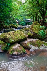 Fototapeta premium A serene river meanders through a vibrant forest, adorned with moss-covered rocks and a distant footbridge.