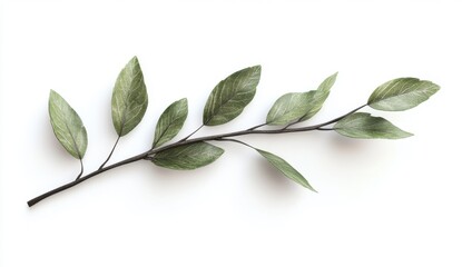 Obraz premium Speckled Green Leaves on a Branch Against White Background