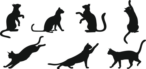Fototapeta premium cat breed silhouettes collection vector graphics black animal pets domestic feline illustrations