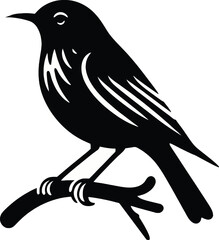Bird on Branch