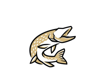 vector image of a fish