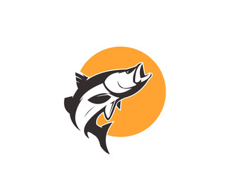 Fototapeta premium cat and fish