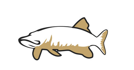 vector image of a cat