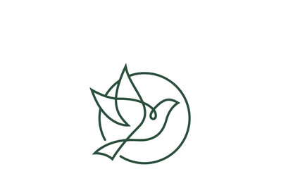 green leaf isolated on white