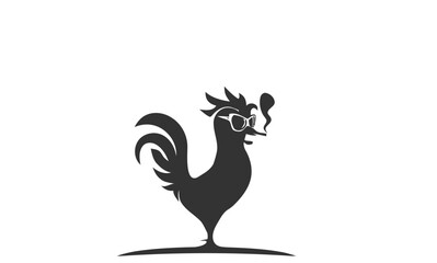 black and white bird