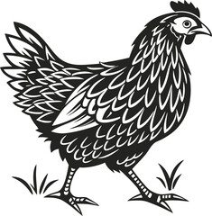 vector illustration of a chicken