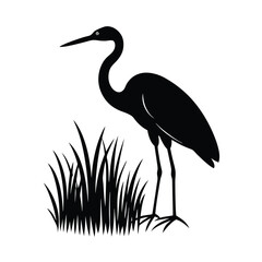 Egret Standing Wetland Vector Silhouette