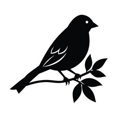 Obraz premium Finch Perched Branch Vector Silhouette
