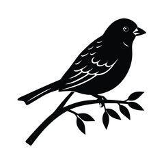 Sparrow Branch Vector Silhouette