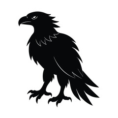 Fototapeta premium Martial Eagle Vector Silhouette