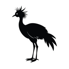 Fototapeta premium Secretarybird Vector Silhouette