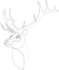 Deer drawn by one black line on a white background. Continuous line drawing. Vector illustration design.