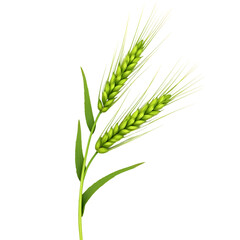 Fototapeta premium Wheat Grain with Green leaves PNG file isolated on transparent background