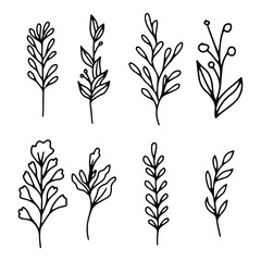 Minimal botanical vector drawing, trendy tattoo design floral elements vector illustration.
